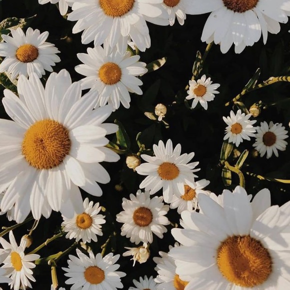 Restoor Face Serum: Anti-Aging Face Serum with Vitamin-B5 Hydration - New - Picture 6 of 6